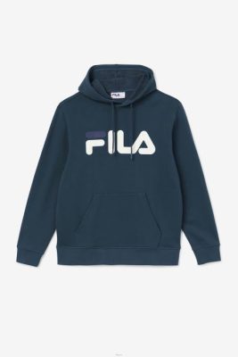 FILA Peru | FILA sudadera con capucha samari verde azulado/garceta/azul marino J844490